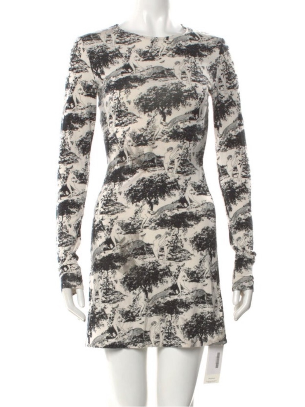 Reformation Scenic Print Long-Sleeve Mini Dress